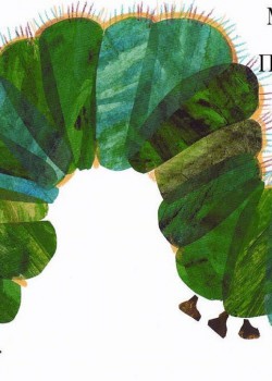 ΜΙΑ ΚΑΜΠΙΑ ΠΟΛΥ ΠΕΙΝΑΣΜΕΝΗ ERIC CARLE