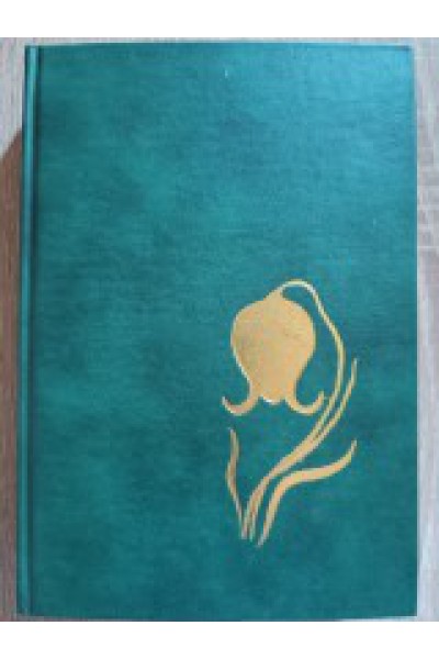 ΤΟ ΓΥΜΝΟ ΚΟΡΙΤΣΙ ΝΙΚΟΣ ΑΘΑΝΑΣΙΑΔΗΣ