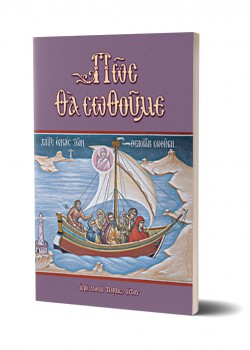 ΠΩΣ ΘΑ ΣΩΘΟΥΜΕ ΜΟΝΑΧΟΣ ΑΓΑΠΙΟΣ